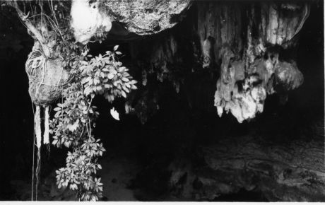 La baie d'Along en 1938 - Interieur de la grotte des merveilles